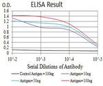 APC1 Antibody in ELISA (ELISA)