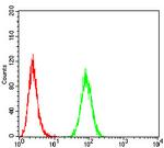 APC1 Antibody in Flow Cytometry (Flow)