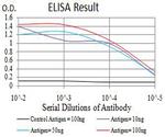 APBA2 Antibody in ELISA (ELISA)
