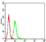 APBA2 Antibody in Flow Cytometry (Flow)