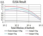 APBA2 Antibody in ELISA (ELISA)