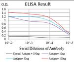 RIAM Antibody in ELISA (ELISA)