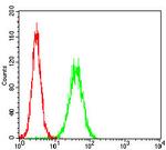 RIAM Antibody in Flow Cytometry (Flow)