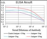 RIAM Antibody in ELISA (ELISA)