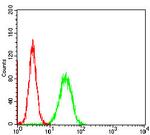 RIAM Antibody in Flow Cytometry (Flow)
