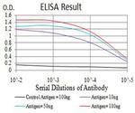 ARHGAP42 Antibody in ELISA (ELISA)