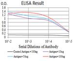 ASF1A Antibody in ELISA (ELISA)