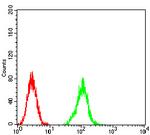 ATG2A Antibody in Flow Cytometry (Flow)