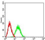 BCL11B Antibody in Flow Cytometry (Flow)