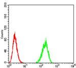 BIN1 Antibody in Flow Cytometry (Flow)