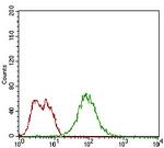 Splunc2 Antibody in Flow Cytometry (Flow)