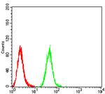 C1QA Antibody in Flow Cytometry (Flow)