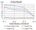 CBX6 Antibody in ELISA (ELISA)