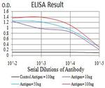 CBX7 Antibody in ELISA (ELISA)