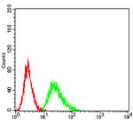 CCR1 Antibody in Flow Cytometry (Flow)