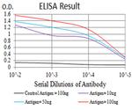 CHRNA10 Antibody in ELISA (ELISA)