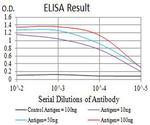 CHRNA5 Antibody in ELISA (ELISA)
