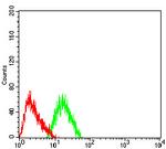 CHRNA7 Antibody in Flow Cytometry (Flow)