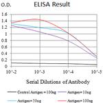 CHRNB3 Antibody in ELISA (ELISA)
