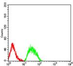 CHRNE Antibody in Flow Cytometry (Flow)