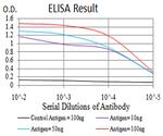 CIRBP Antibody in ELISA (ELISA)