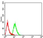 LGP2 Antibody in Flow Cytometry (Flow)