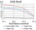 LGP2 Antibody in ELISA (ELISA)