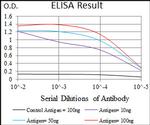 DNAL4 Antibody in ELISA (ELISA)