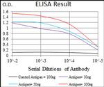 DNAL4 Antibody in ELISA (ELISA)