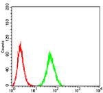 eIF5 Antibody in Flow Cytometry (Flow)
