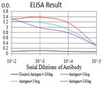 eIF5 Antibody in ELISA (ELISA)
