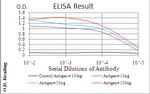 Emerin Antibody in ELISA (ELISA)