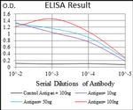 Epsin 1 Antibody in ELISA (ELISA)