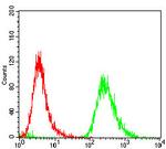 Epsin 1 Antibody in Flow Cytometry (Flow)