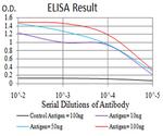 FBXL10 Antibody in ELISA (ELISA)