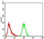 GFPT1 Antibody in Flow Cytometry (Flow)