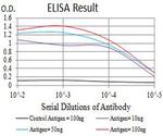 mGluR3 Antibody in ELISA (ELISA)