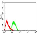 mGluR3 Antibody in Flow Cytometry (Flow)