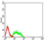 mGluR8 Antibody in Flow Cytometry (Flow)