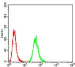 H3K27ac Antibody in Flow Cytometry (Flow)
