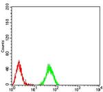 H3K27ac Antibody in Flow Cytometry (Flow)