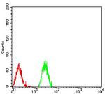 H3K27ac Antibody in Flow Cytometry (Flow)