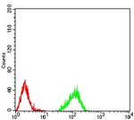 H4K20me3 Antibody in Flow Cytometry (Flow)