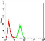 HOXA9 Antibody in Flow Cytometry (Flow)