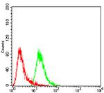 HSPB2 Antibody in Flow Cytometry (Flow)