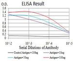 IGLC2 Antibody in ELISA (ELISA)