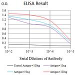 KIR3DL1 Antibody in ELISA (ELISA)