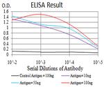 MIB1 Antibody in ELISA (ELISA)