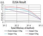 MIB1 Antibody in ELISA (ELISA)