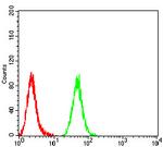 MIB1 Antibody in Flow Cytometry (Flow)